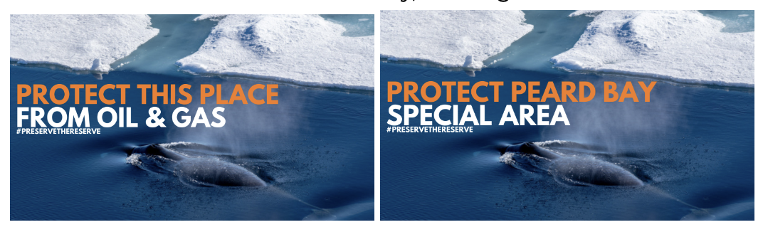 A picture containing text, marine mammal, aquatic mammal, mammal

Description automatically generated